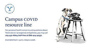 Campus COVID resource line poster