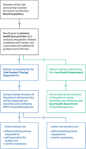 Yale COVID-19 Contact Tracing Program | COVID-19: Yale Actions and Response